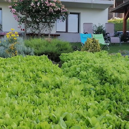 Apartma Na Ravnicah Cerkno Kültér fotó