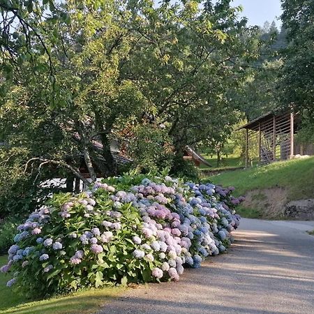 Apartma Na Ravnicah Cerkno Kültér fotó