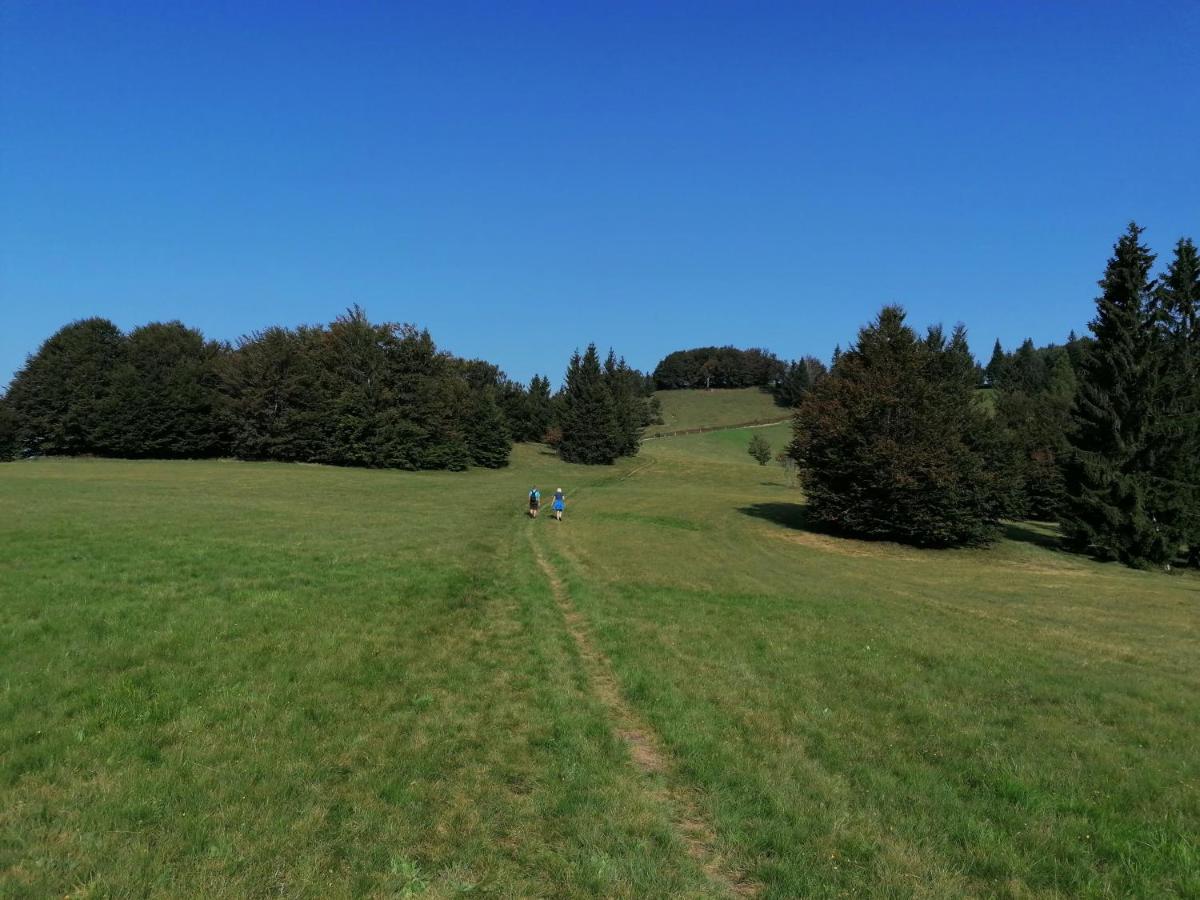 Apartma Na Ravnicah Cerkno Kültér fotó