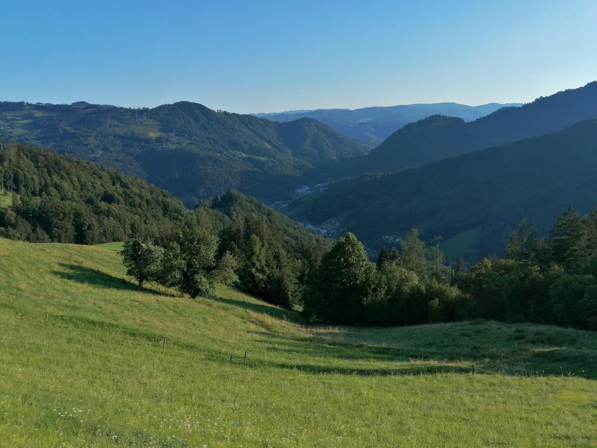 Apartma Na Ravnicah Cerkno Kültér fotó