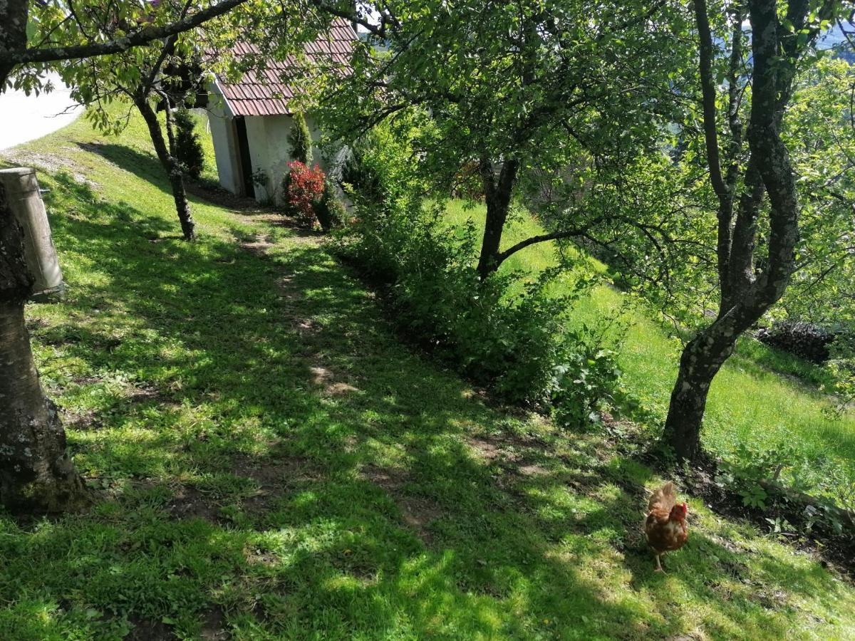 Apartma Na Ravnicah Cerkno Kültér fotó