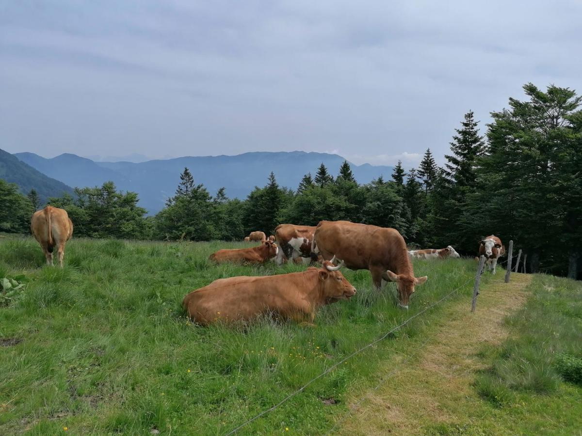 Apartma Na Ravnicah Cerkno Kültér fotó
