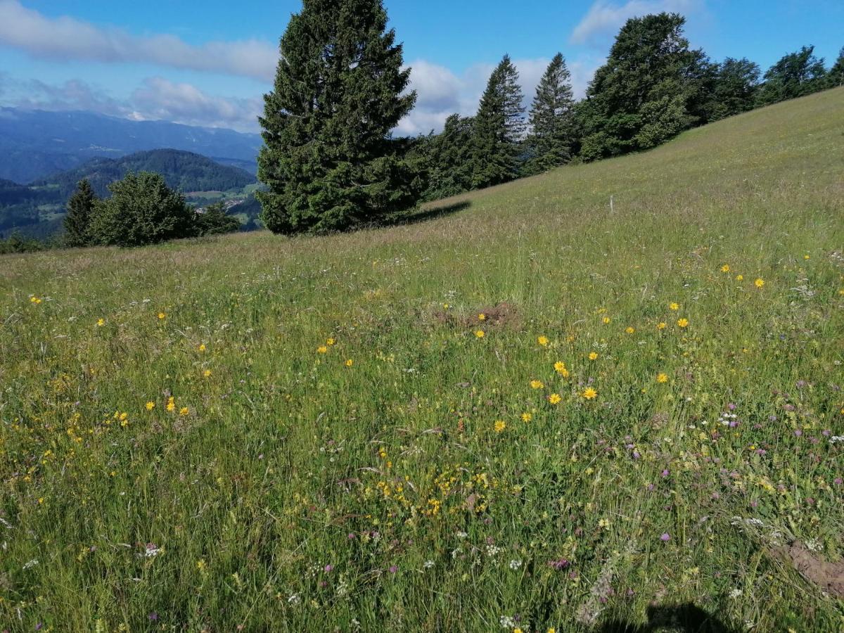 Apartma Na Ravnicah Cerkno Kültér fotó