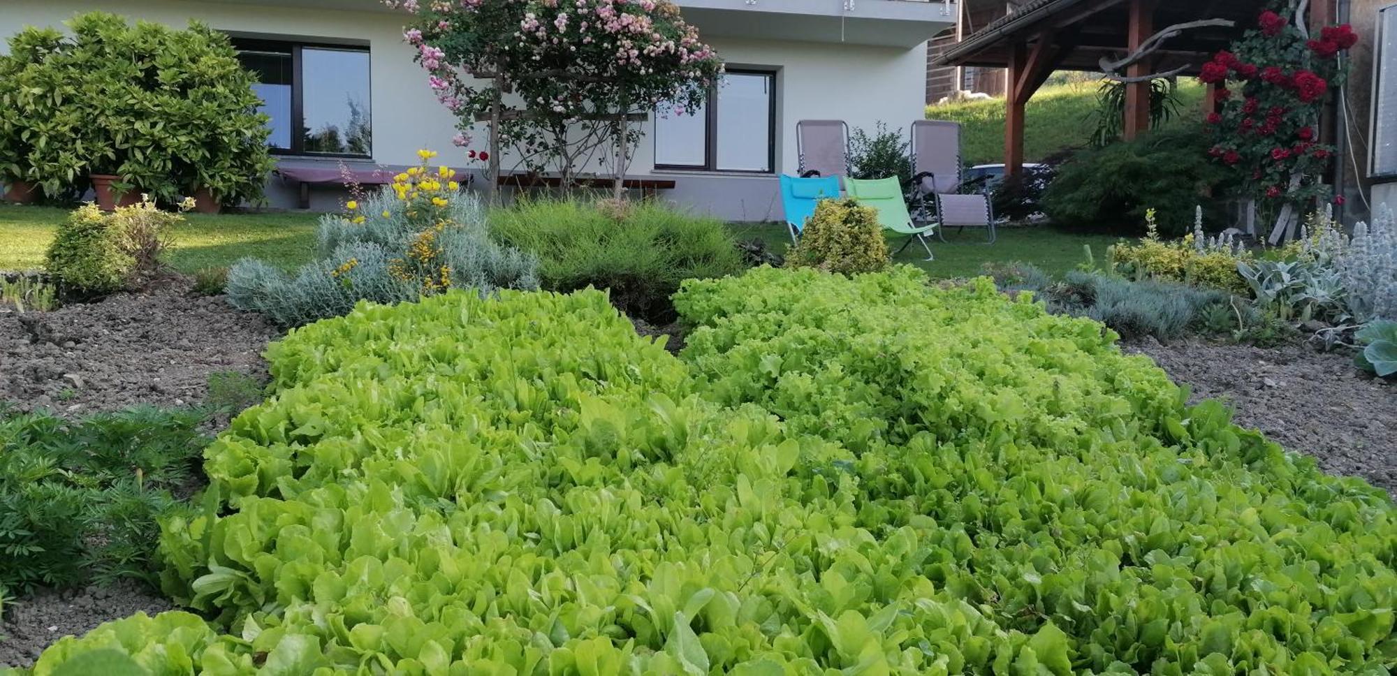Apartma Na Ravnicah Cerkno Kültér fotó