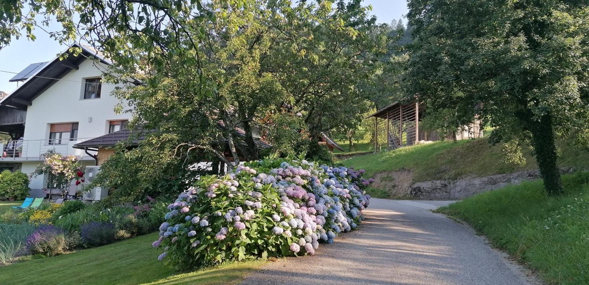 Apartma Na Ravnicah Cerkno Kültér fotó