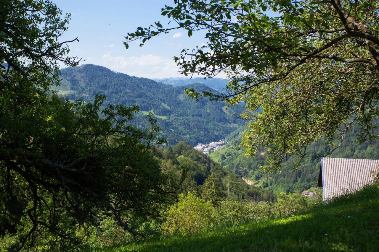 Apartma Na Ravnicah Cerkno Kültér fotó